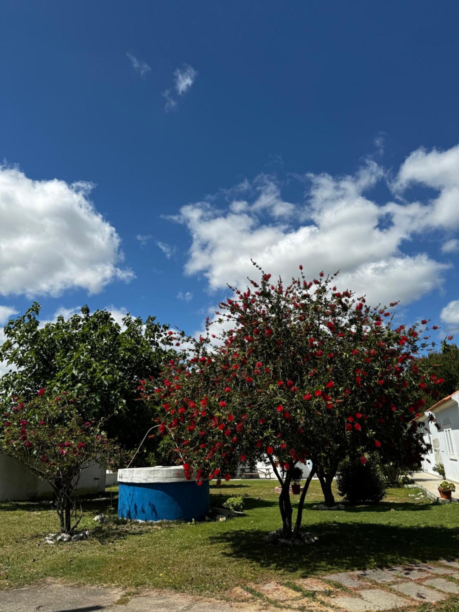 Na Quinta- Alojamento Rural Com Piscina De Agua Salgada Poceirao 外观 照片